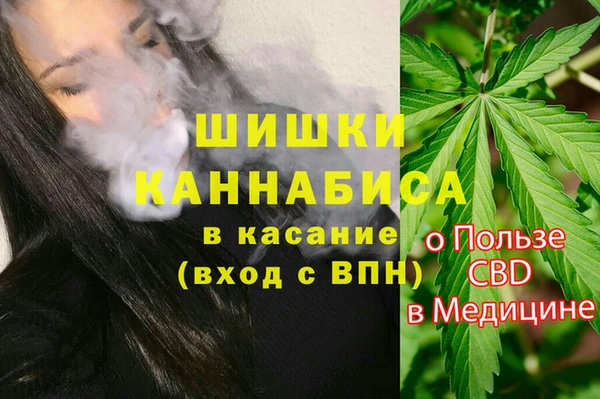 ALPHA PVP Коряжма