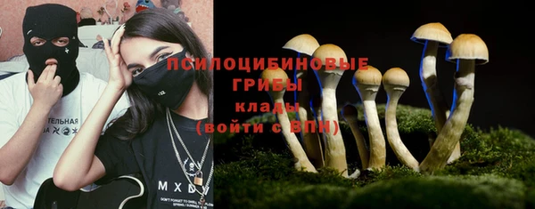 ALPHA PVP Коряжма