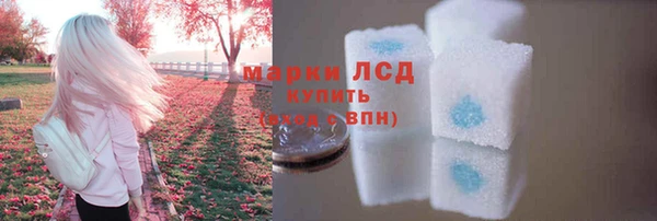 герыч Корсаков