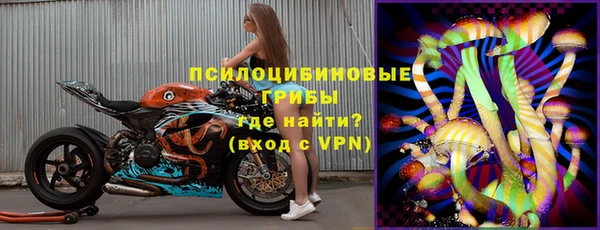 герыч Корсаков