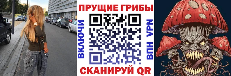 Псилоцибиновые грибы Psilocybe Алексин